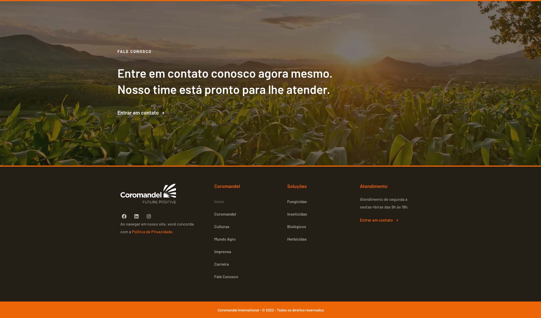 Website Coromandel Rodape